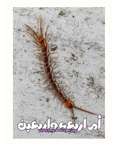 ebook-thumbnail